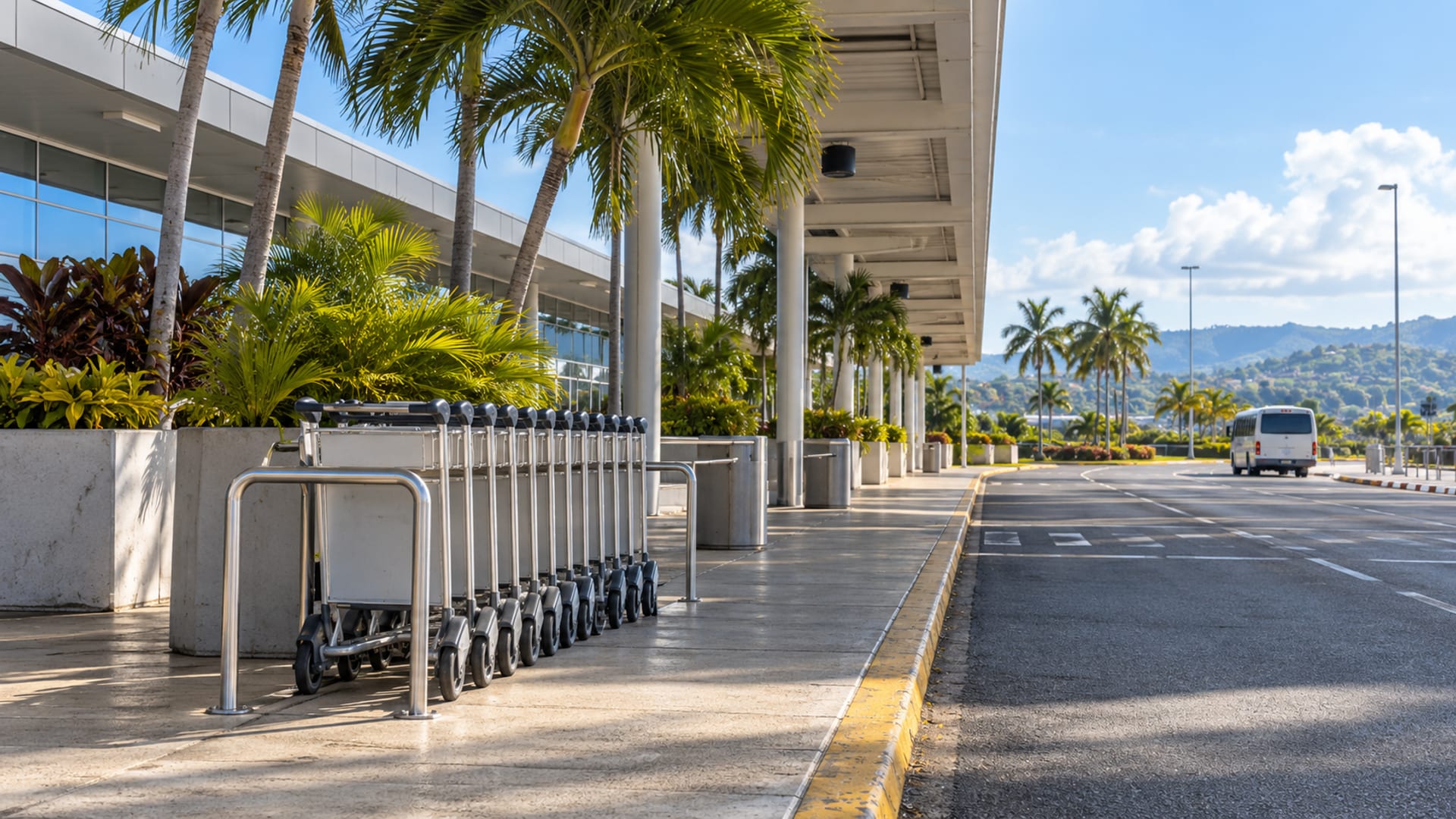 Wide view of an empty airport kerb with a rack of luggage trolleys and palms under a pale sky