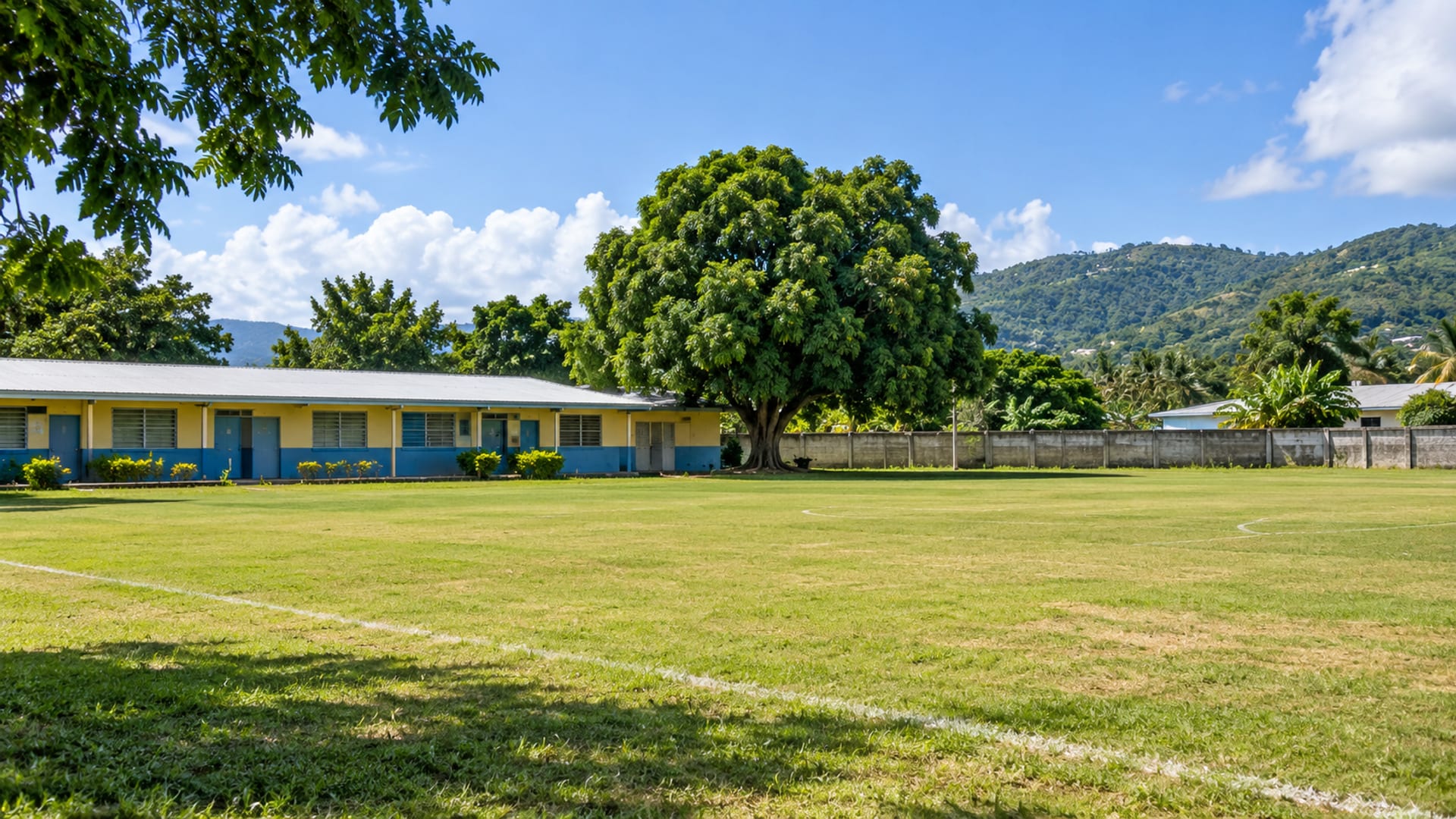 Empty school playing field with a low concrete building and a large mango tree in the distance on a still August morning