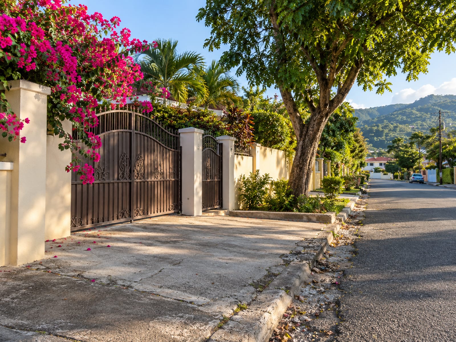 Wide empty concrete driveway beside a painted wall with bougainvillea, a closed metal gate and shade tree in a residential street.