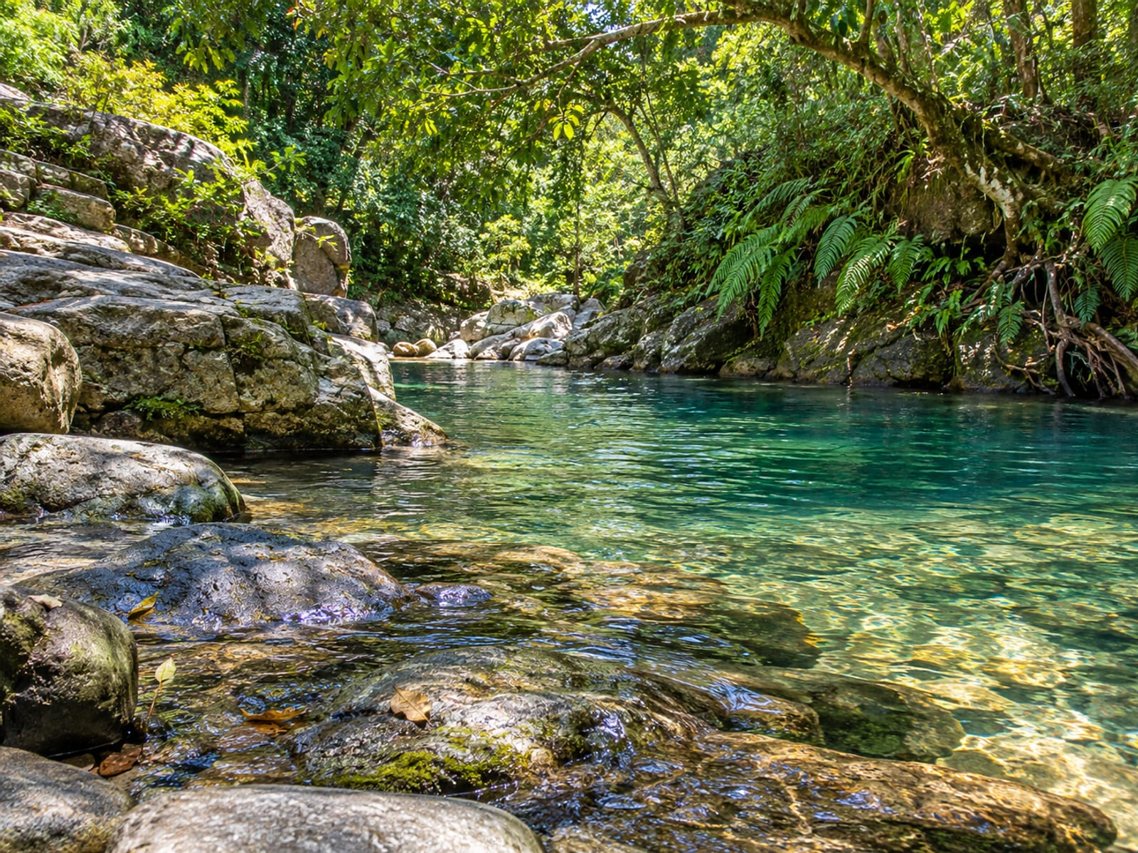 Clear river pool in the hills with flat grey rocks, ferns on the banks and dappled light through trees.
