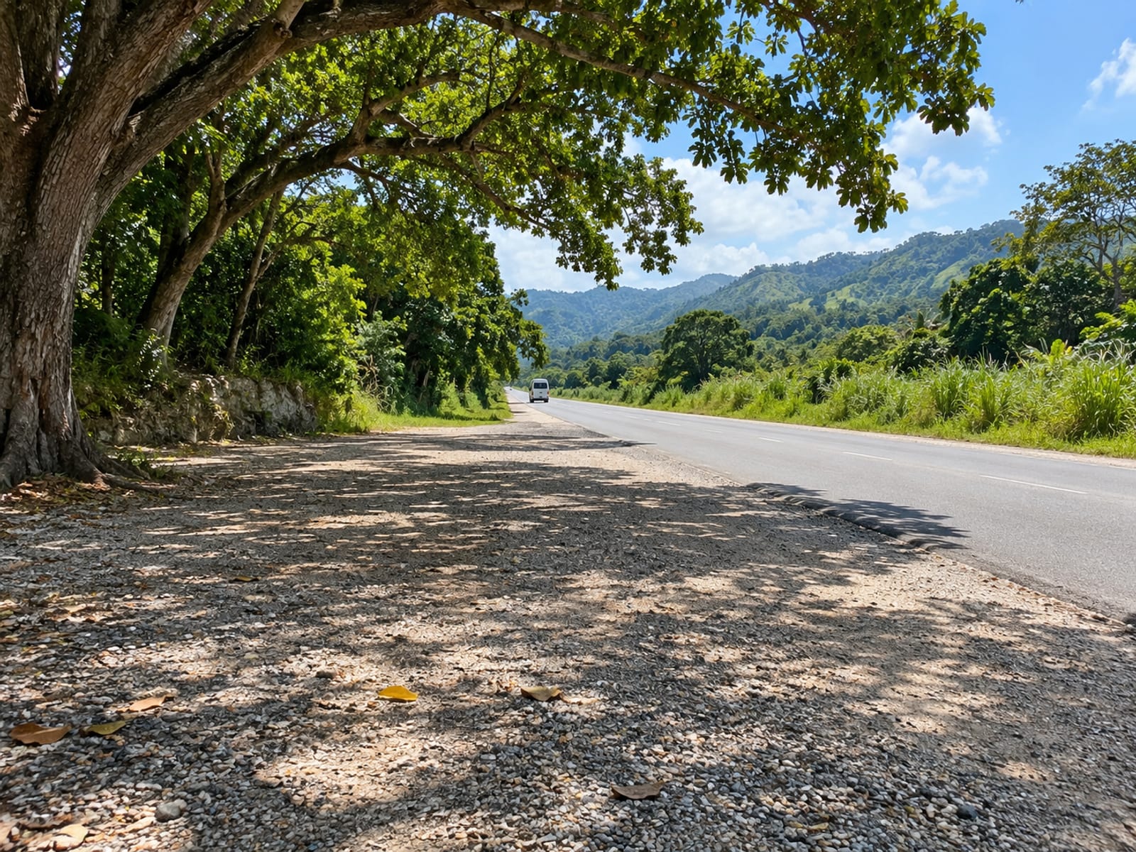 Wide gravel roadside pull-off under large trees, with a tiny plain white minibus far down the road.