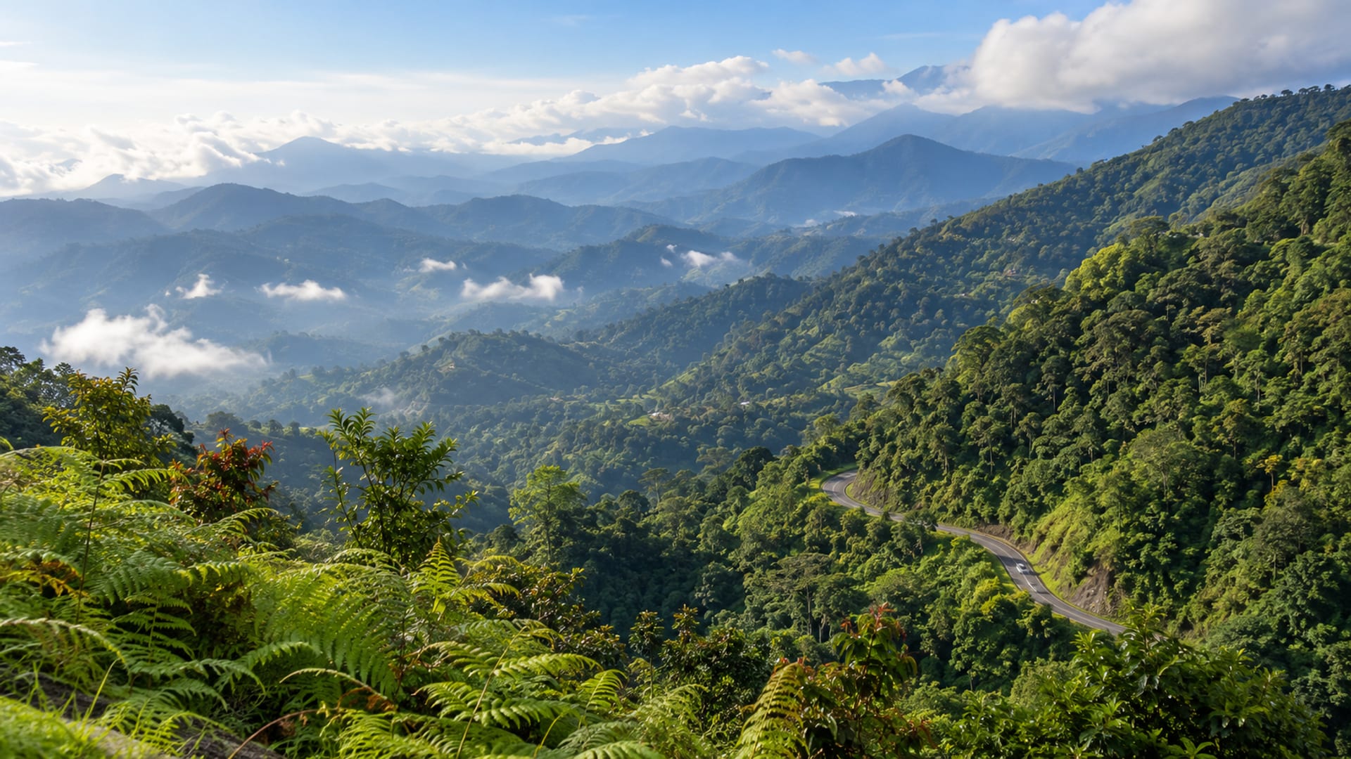 Wide view of layered blue green mountain ridges with a thin road curving in the valley and one tiny vehicle.