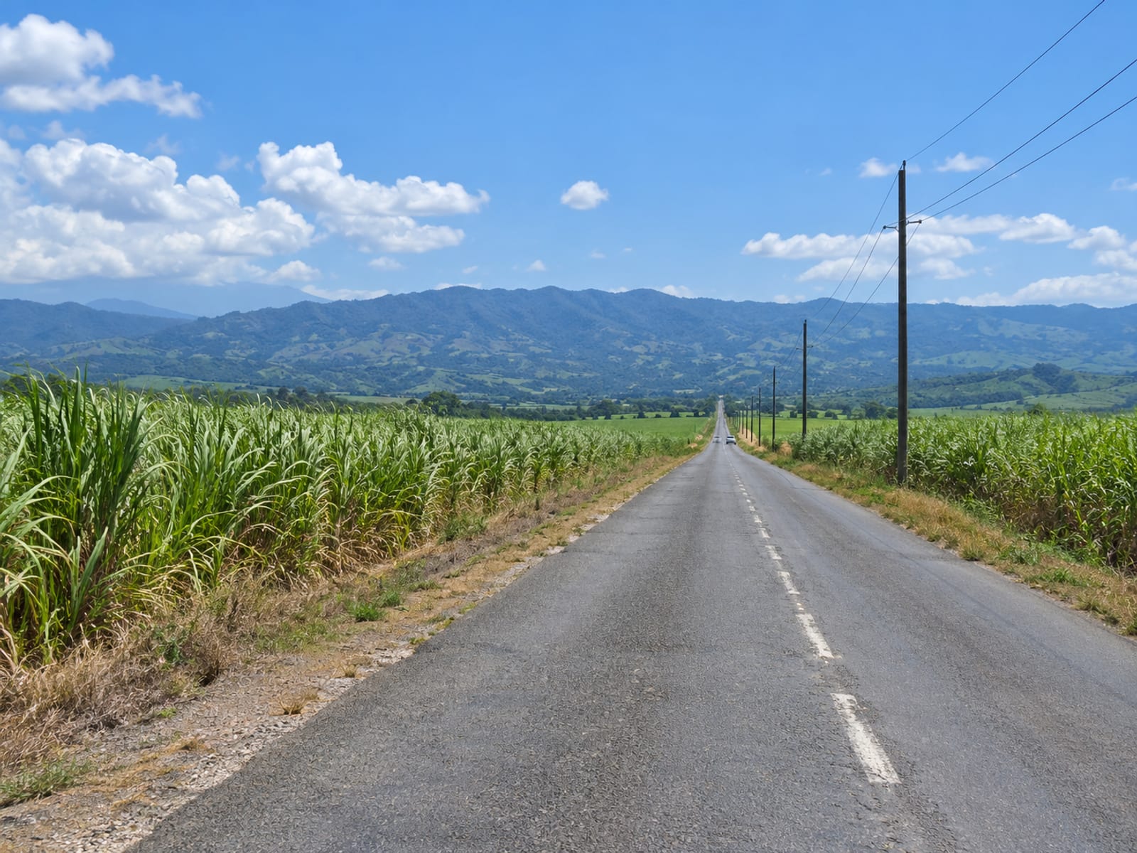 Long straight paved road through tall sugar cane fields toward distant hills