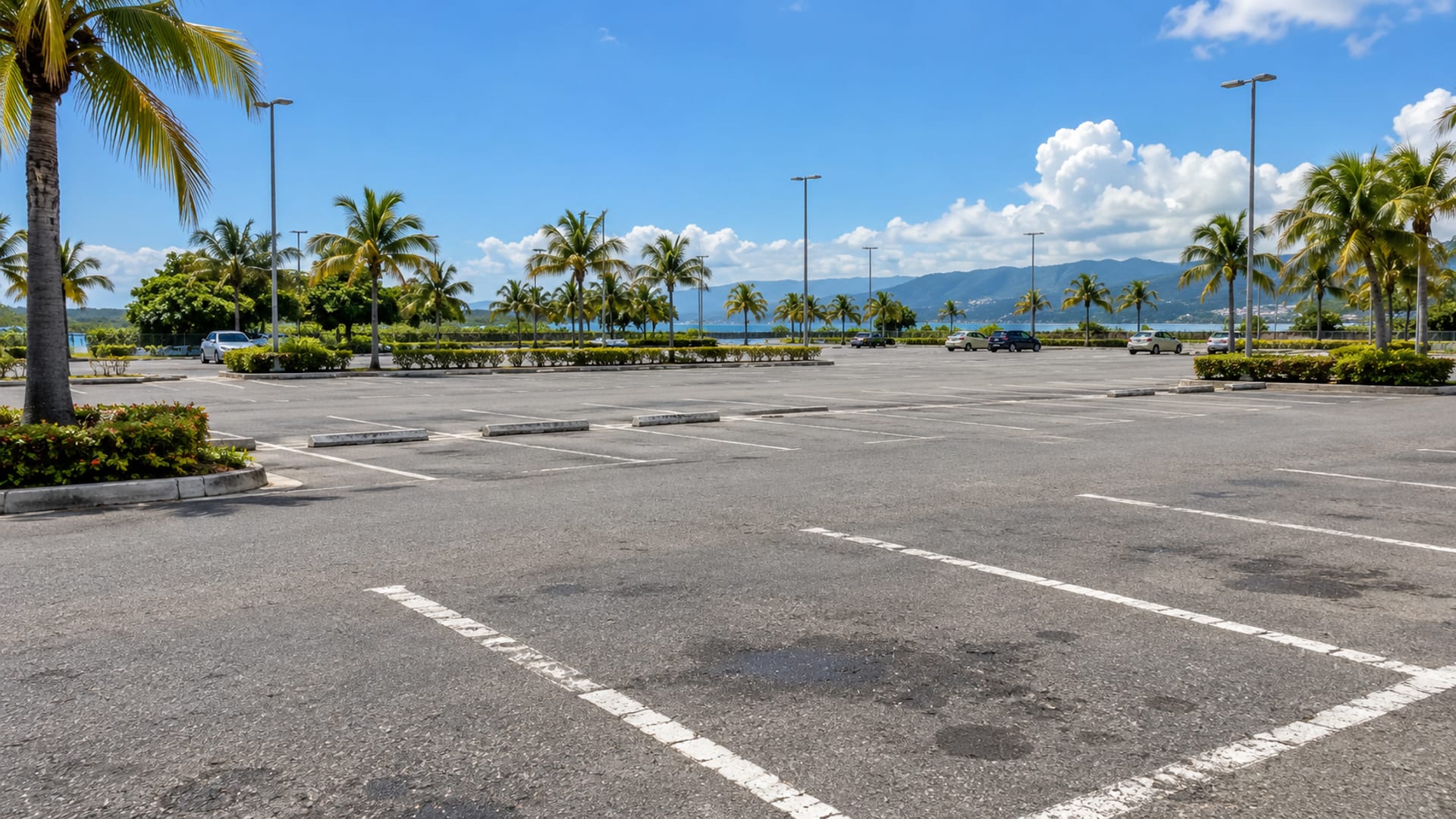 Wide view of a quiet car park with a few small plain cars far away and palms beyond