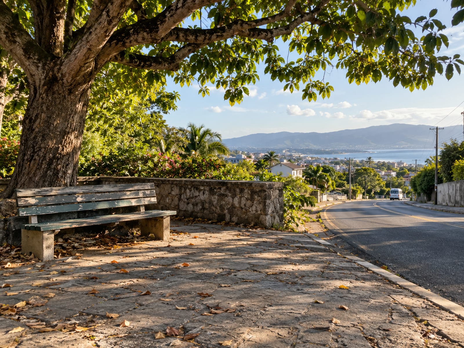 Wide view of a roadside pull off with a plain wooden bench under a large tree in Kingston, one tiny plain minibus far down the road
