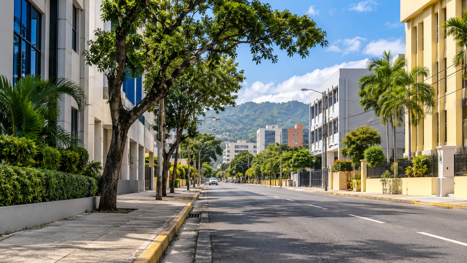 Wide view of a quiet tree-lined street of low office buildings in Kingston in morning light, with one small plain car far down the road.