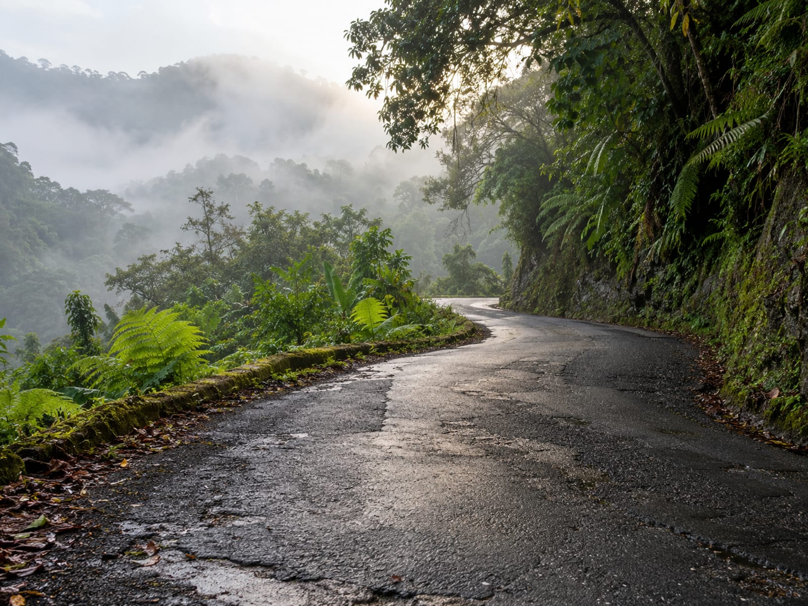 A narrow winding road with no markings climbing through misty green hills and trees leaning over the edge.