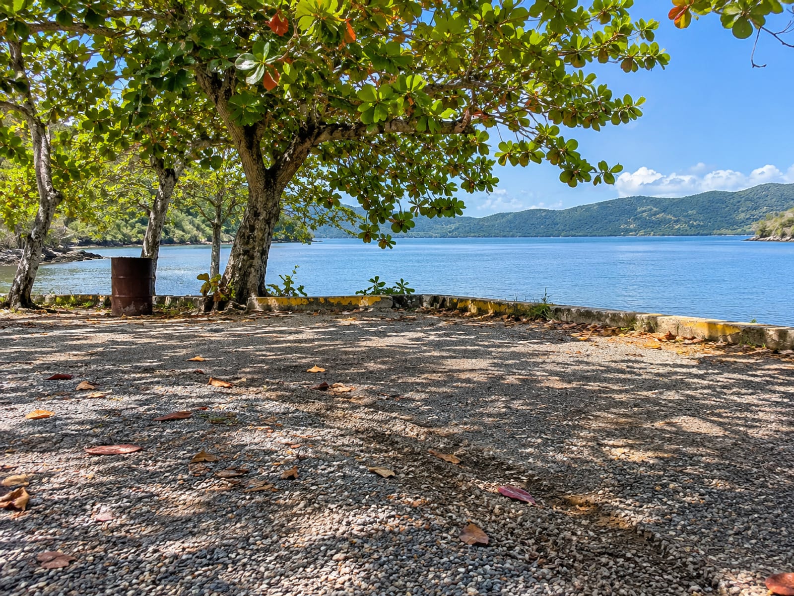 Empty gravel parking area under sea almond trees beside a calm bay with low hills across the water