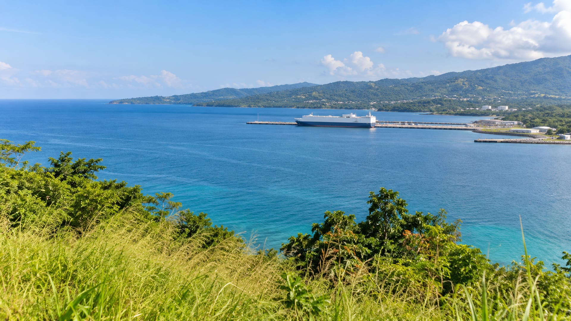 Calm harbour seen from a hillside with a large ship far off at a pier and green coast beyond