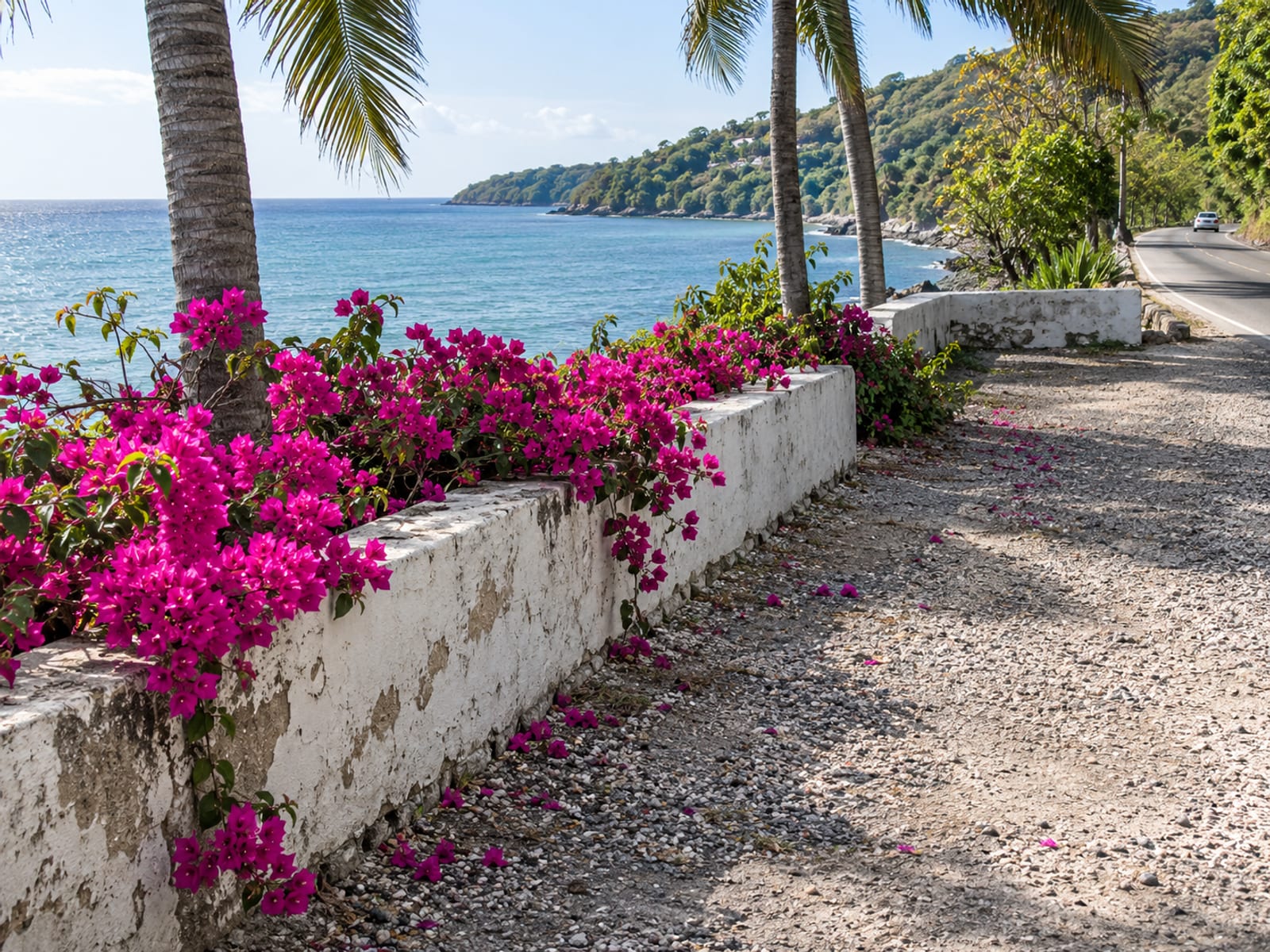 Low whitewashed wall and bougainvillea at a quiet seaside lay by with the sea beyond