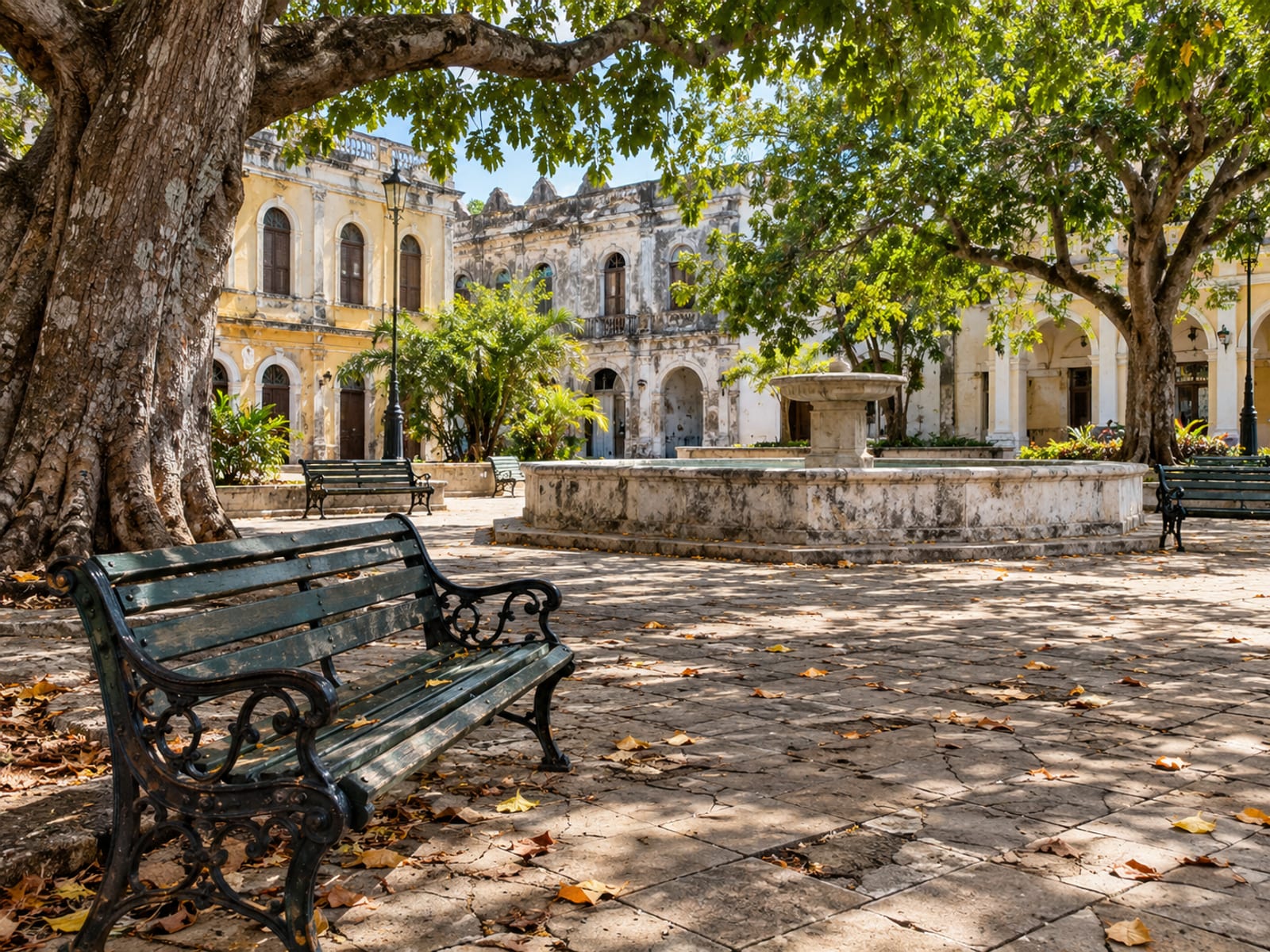 Open paved square with a few benches, large shade trees and older buildings with arched windows on its far side