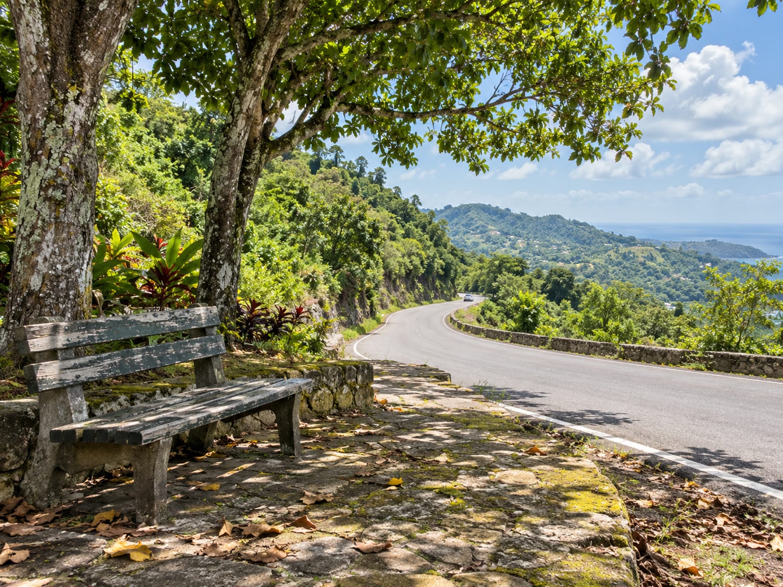 Wide view of a gentle country road curve through green hills with a plain rest stop bench under trees at the roadside