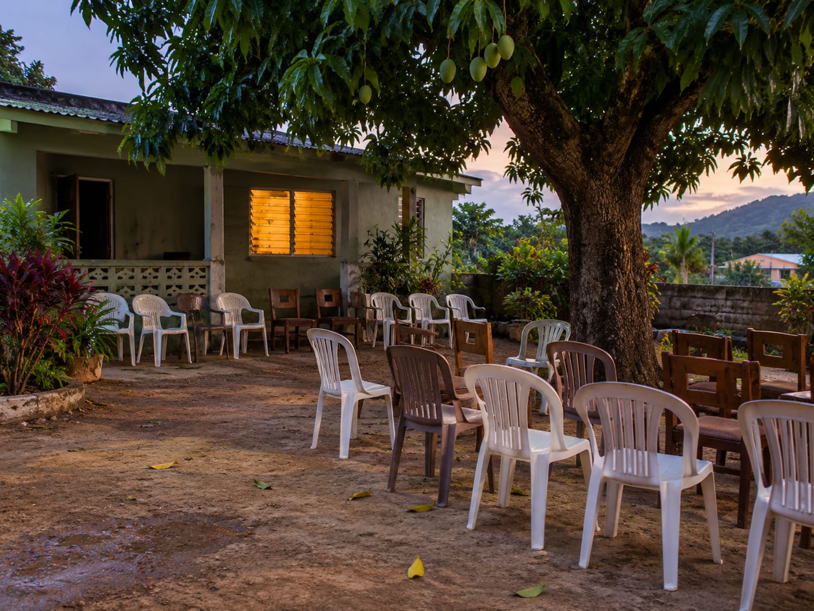 Rows of plain empty chairs set out in a swept yard under a mango tree beside a modest painted house at dusk