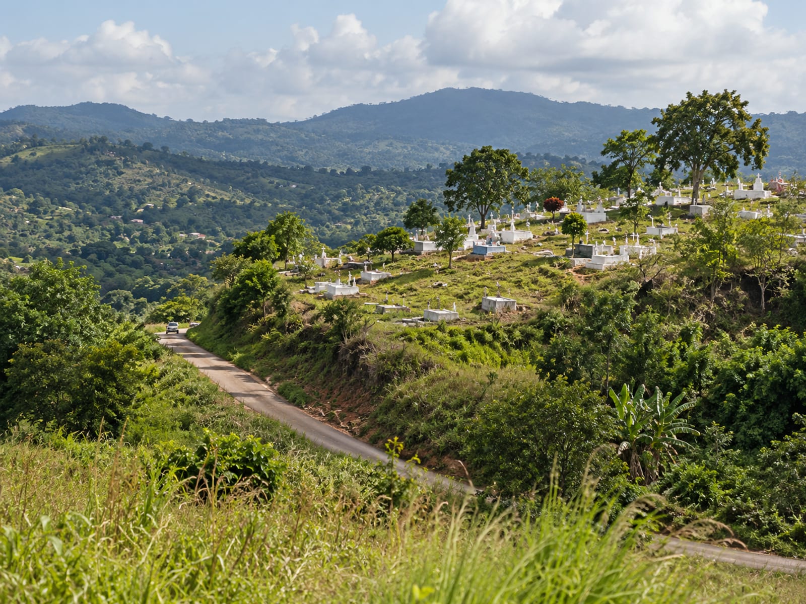 Distant hillside cemetery with plain white headstones among grass and trees under a soft sky