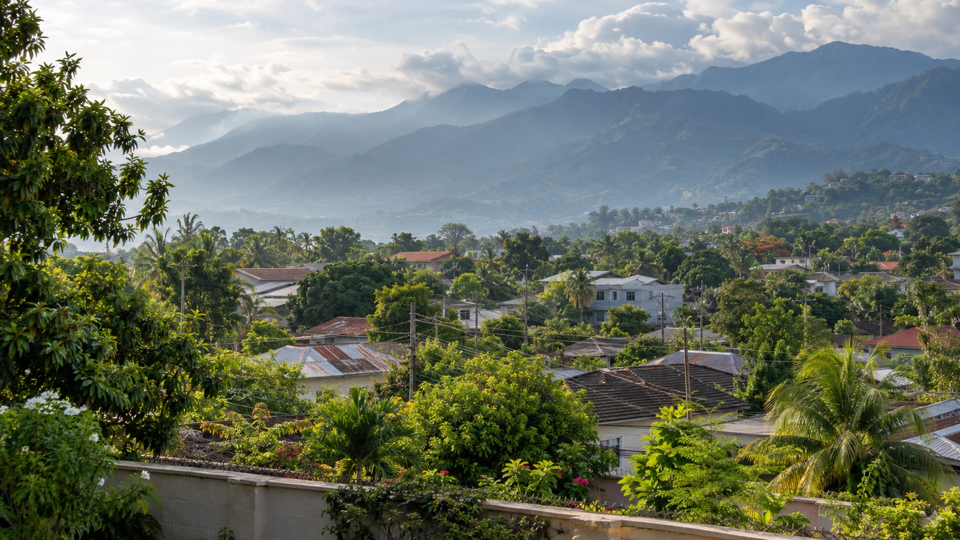 Wide view over a green Kingston suburb of rooftops and trees on a hillside, with the layered ridges of the Blue Mountains rising behind under cloud.