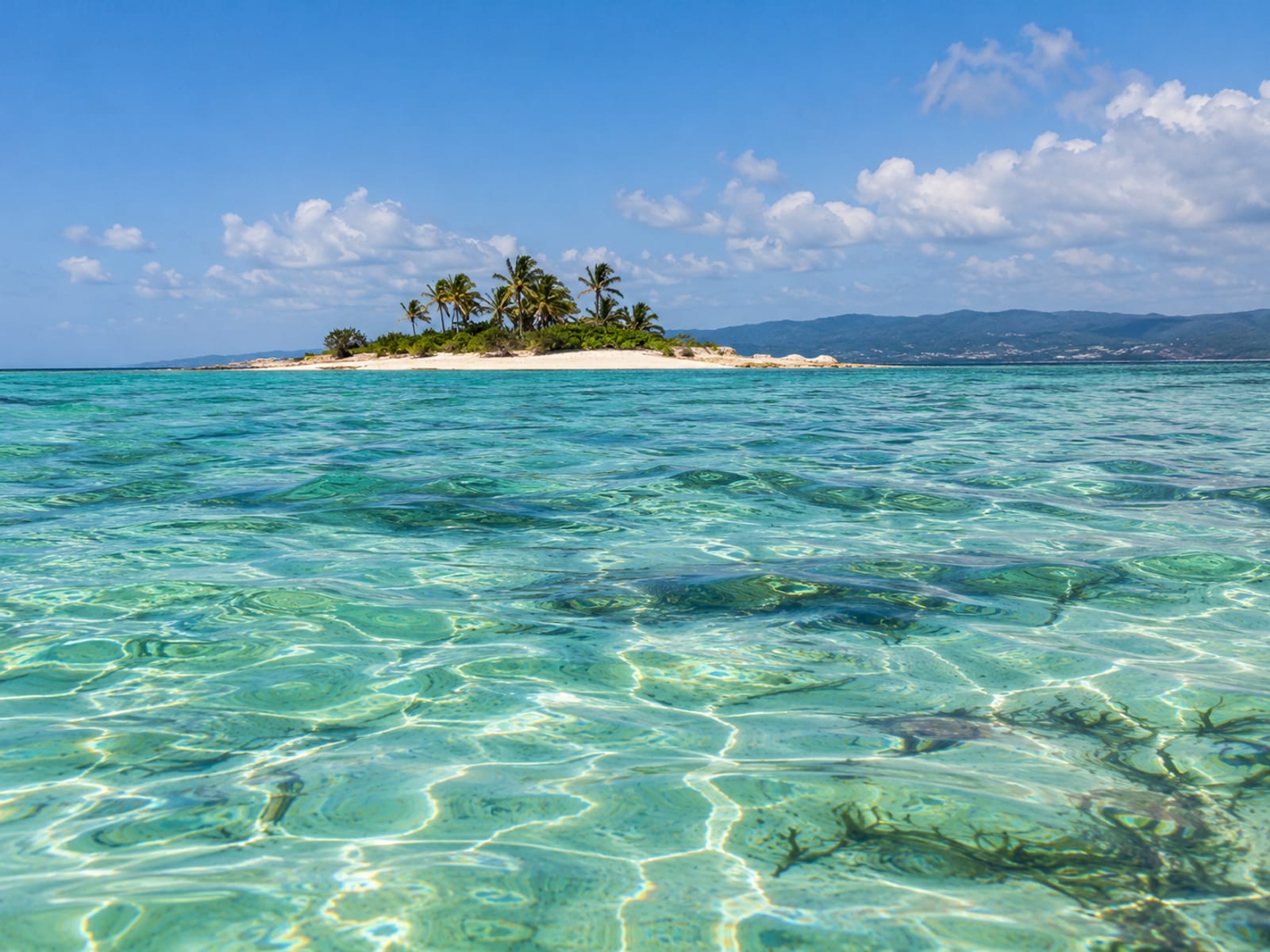 Small sandy islet with a few palms and clear turquoise water around it, viewed from the water