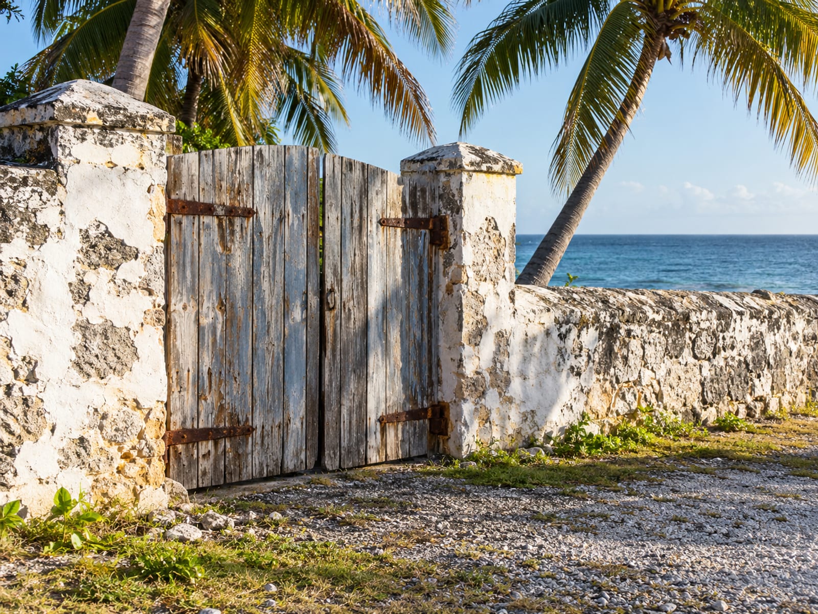 Weathered wooden gate set in a whitewashed stone wall, shut, with palm trees and a strip of sea beyond in daylight.