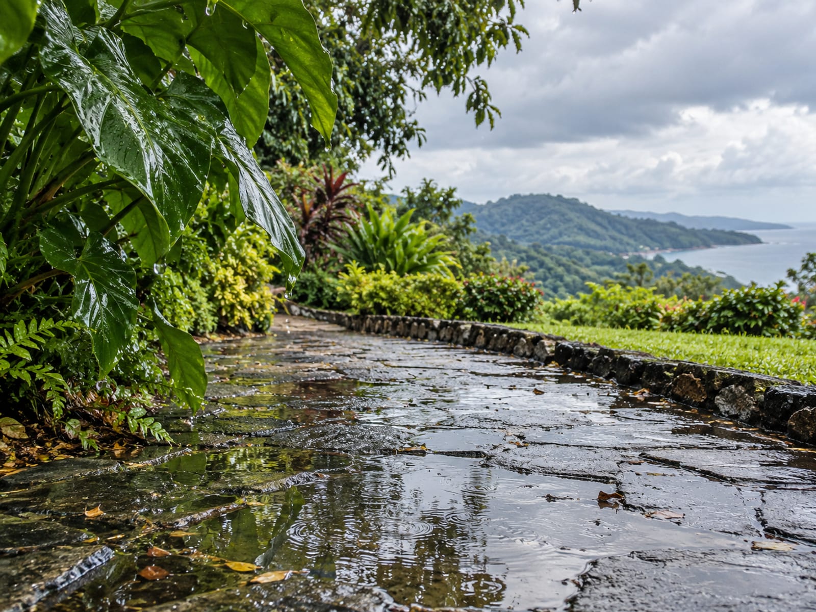 Wet garden path with puddles, dripping leaves and a grey sky
