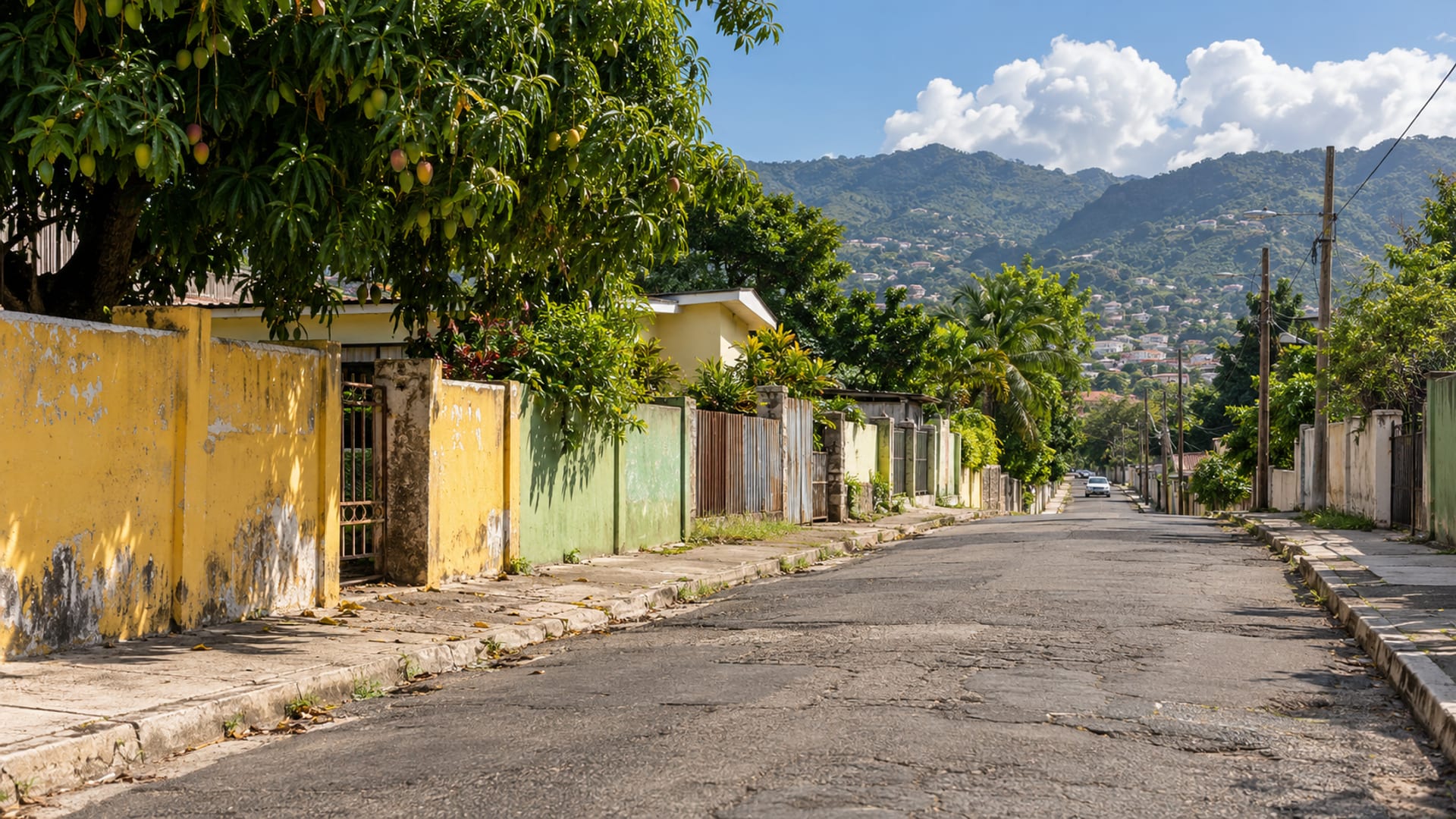 Quiet residential street with faded yellow and green painted walls, zinc fences and a mango tree, one small distant vehicle.