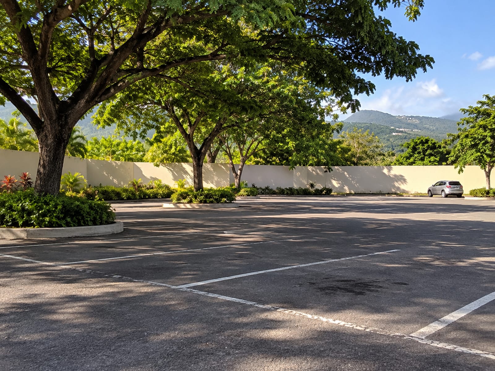Open car park with shade trees, empty bays and a blank wall, with a single tiny plain car far away