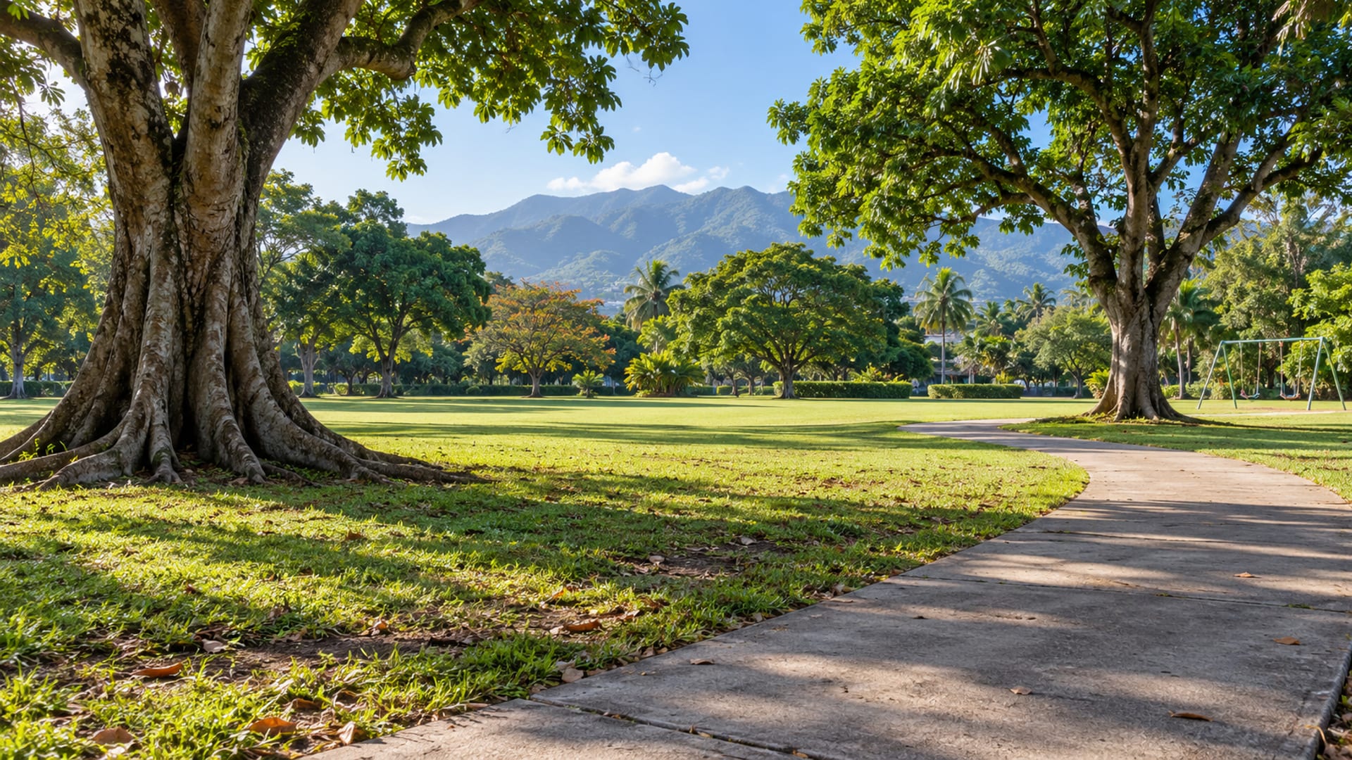 Broad green lawn with large shade trees, a curving paved path and an empty swing set at the edge in morning light.