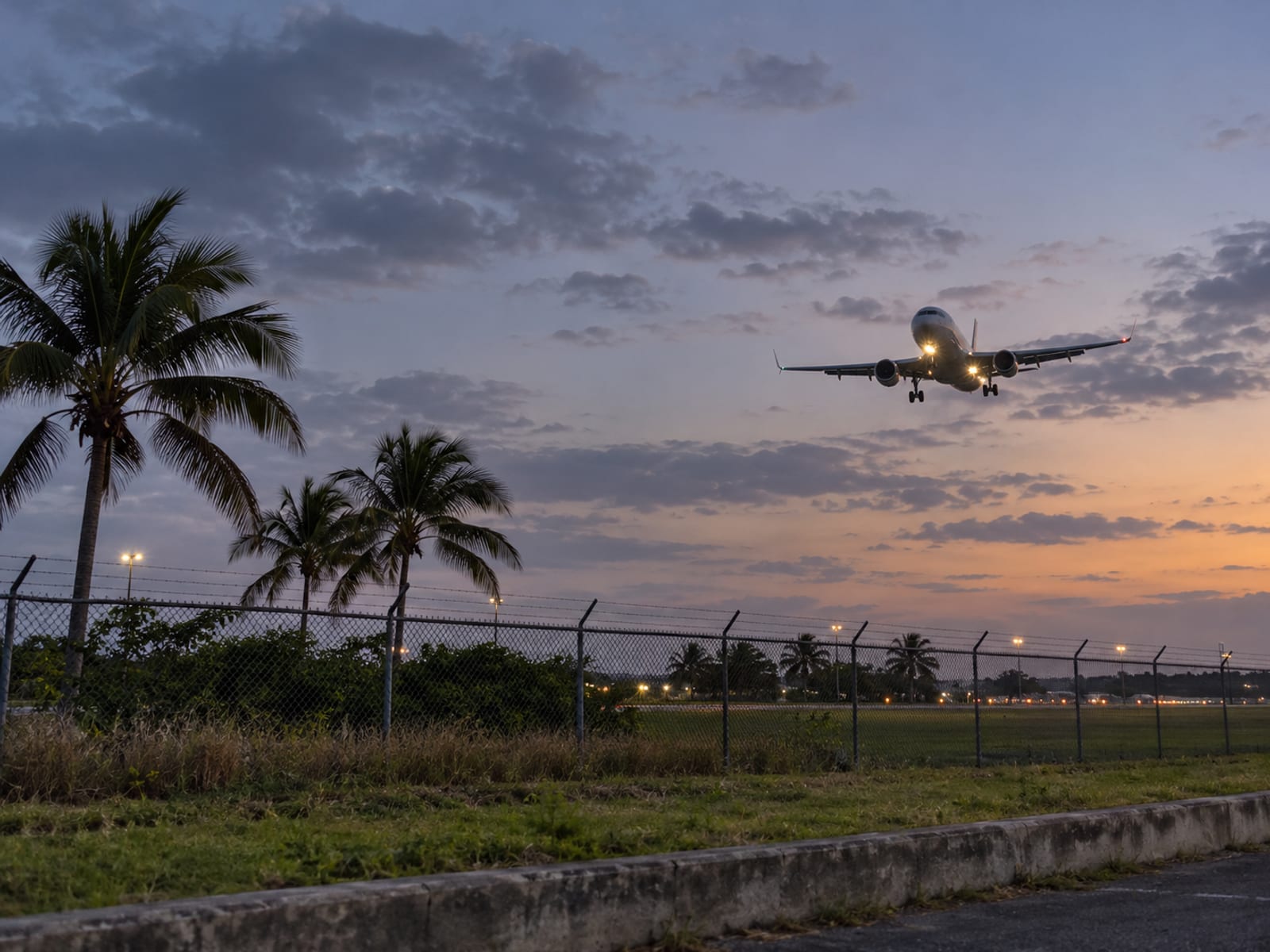 Passenger jet with landing lights descending in a dusk sky above an airport fence and palms