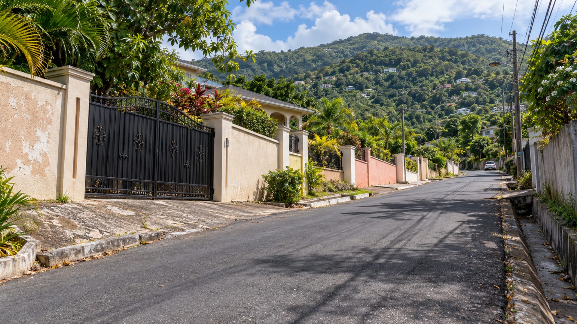 Wide view of a quiet hillside street with walled houses and driveways under mature trees, one small plain car far along the road.