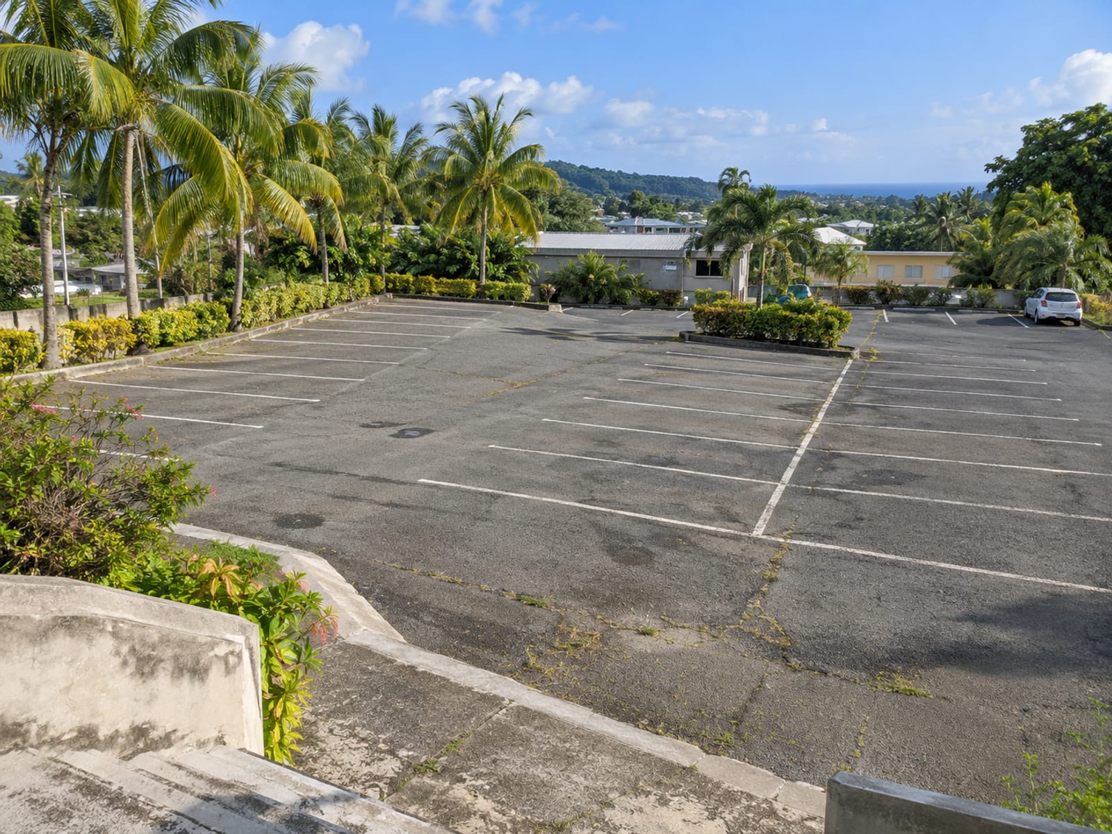 View from above of an empty paved car park with painted bay lines and palm trees, with one small plain car in the far corner.