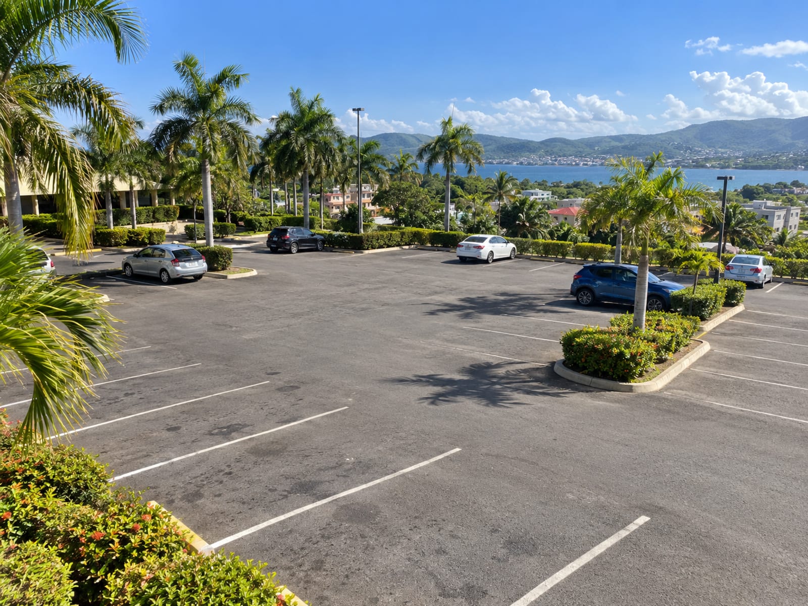 Wide paved car park edged with palms, a few ordinary cars small in the distance.