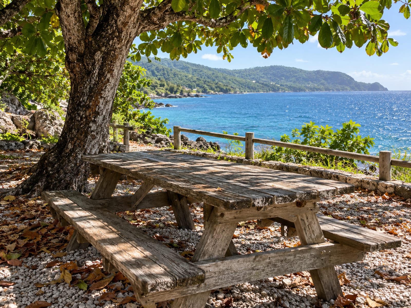 Wooden picnic bench under a large tree at a shaded roadside rest spot beside the sea