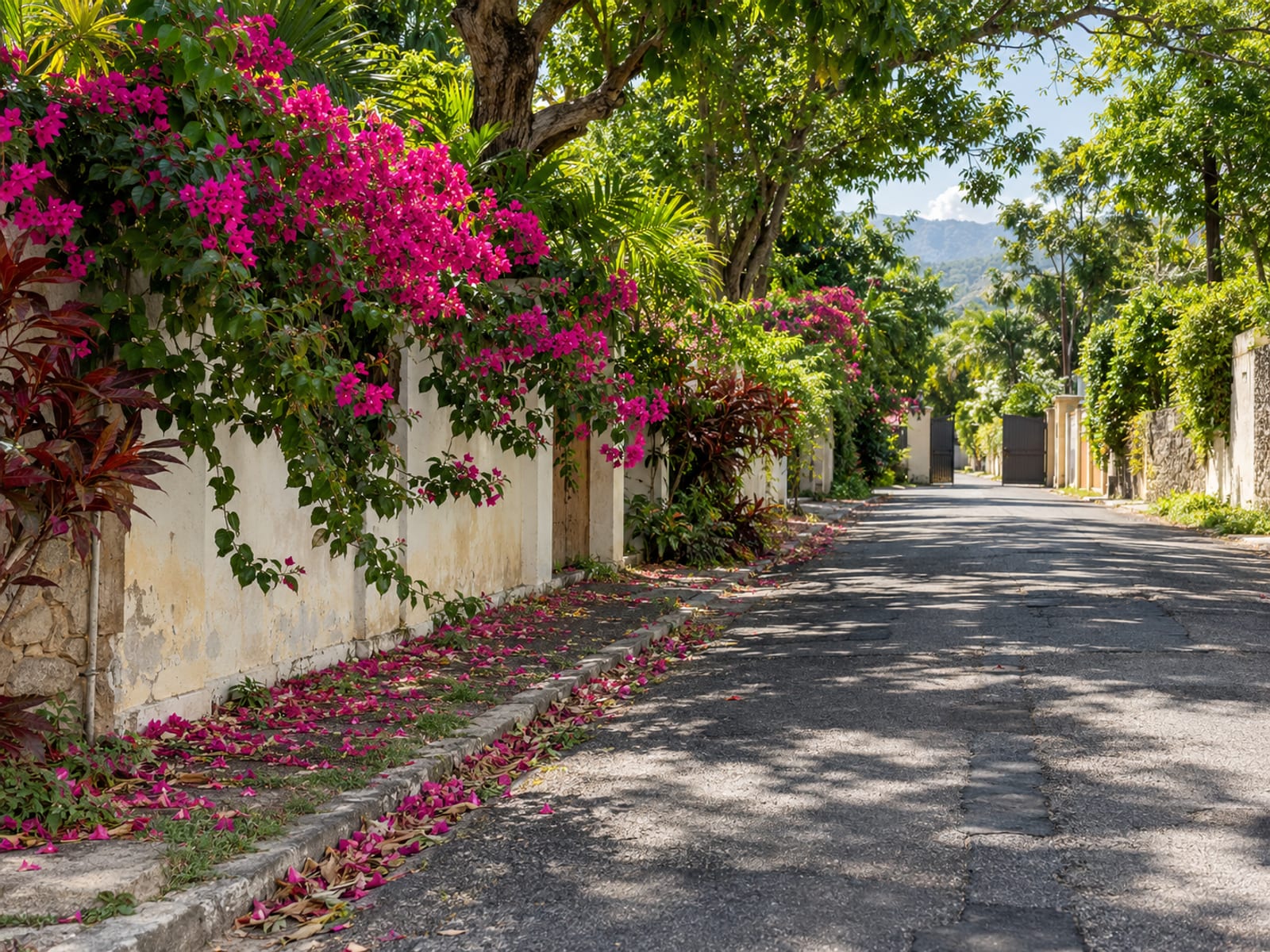 Quiet tree lined road with a painted garden wall and flowering shrubs in dappled shade