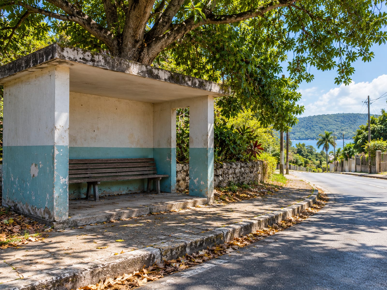 Empty wooden bench inside a plain roadside shelter beside a quiet road with a large tree behind
