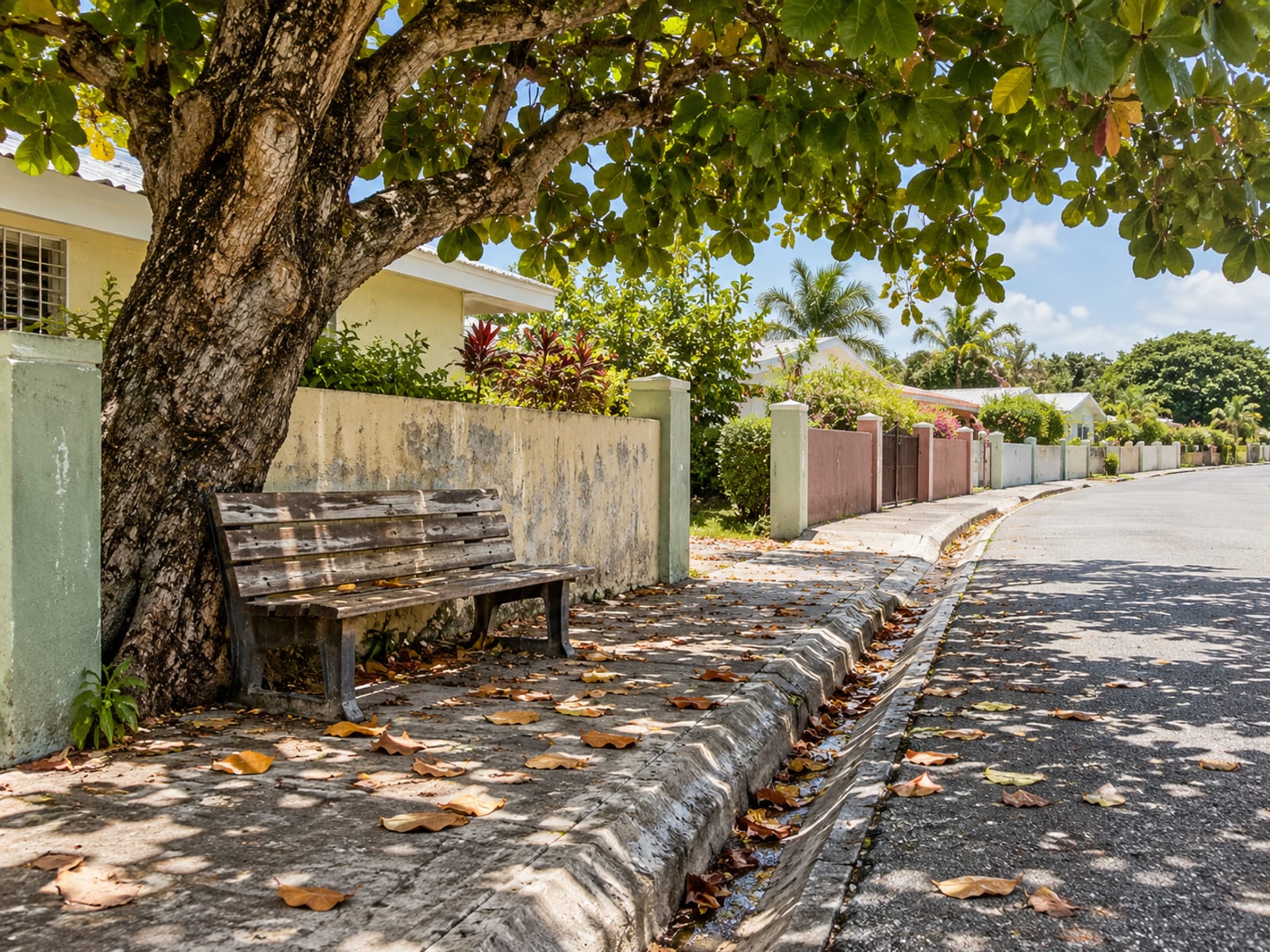 A wooden bench under a broad almond tree on a quiet suburban street of low concrete houses, with fallen leaves on the pavement.