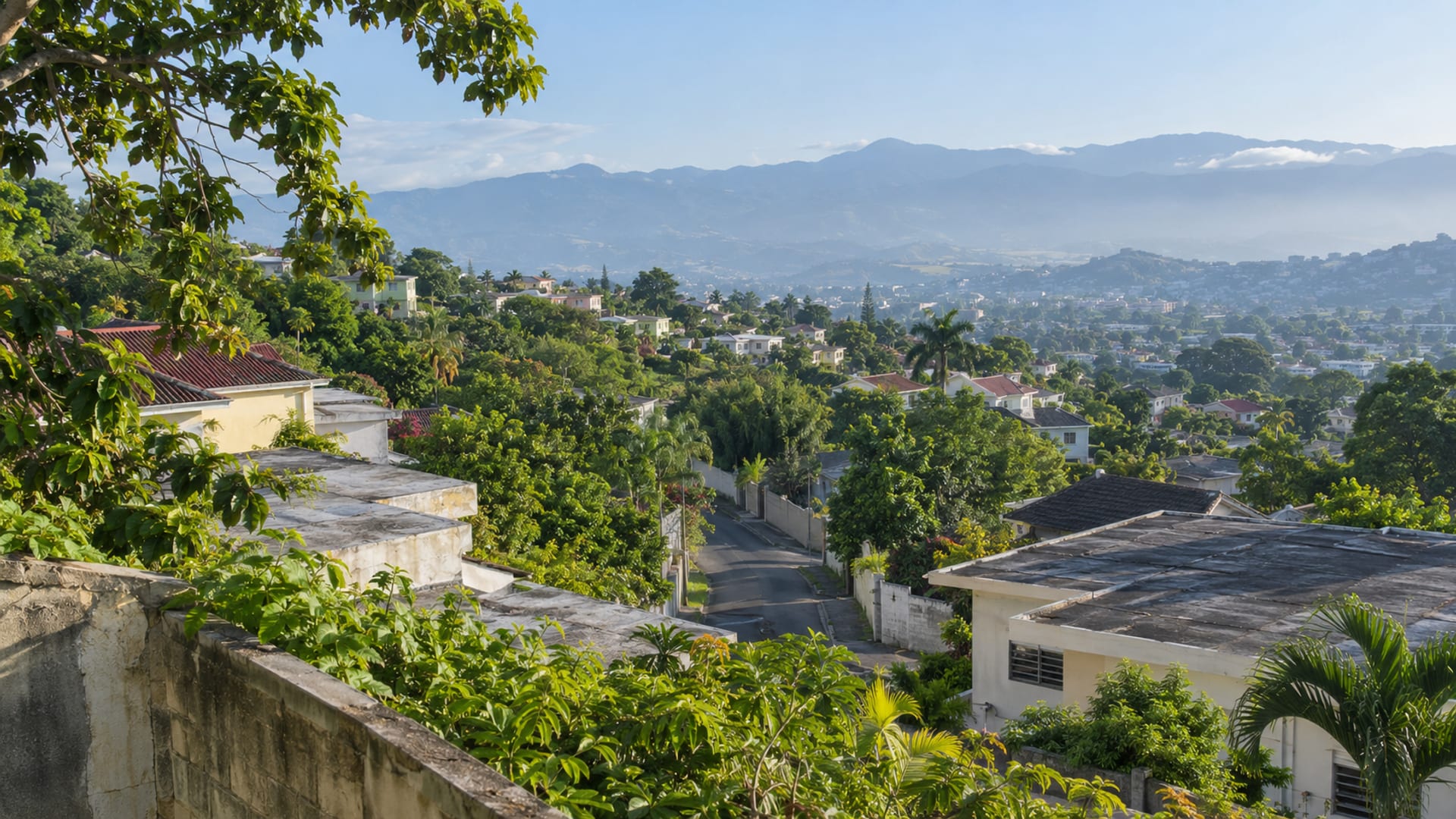 Wide morning view over Kingston rooftops toward the hazy Blue Mountains with green trees in the foreground
