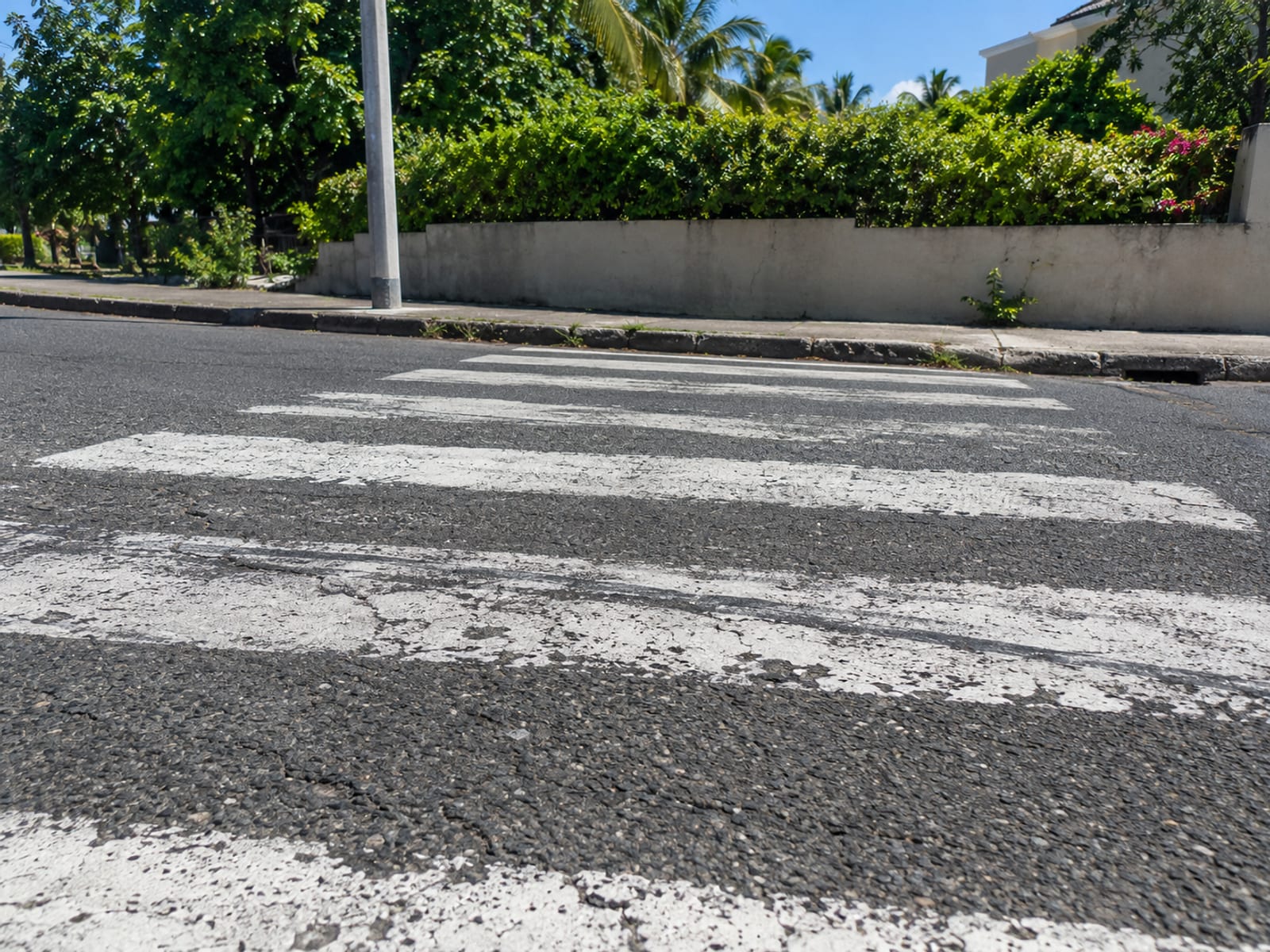 Empty painted pedestrian crossing on a quiet Kingston road seen from low at the kerb at midday
