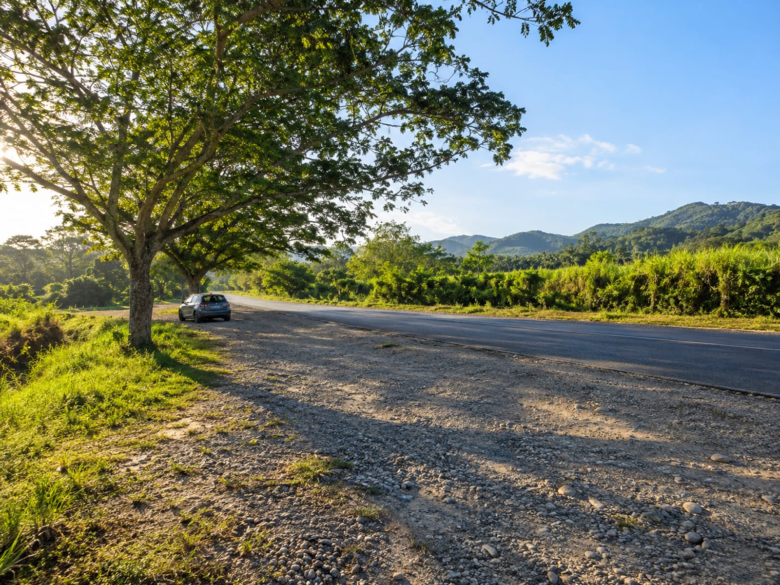 Single plain car far off under a tree on a gravel verge with long shadows seen from a distance