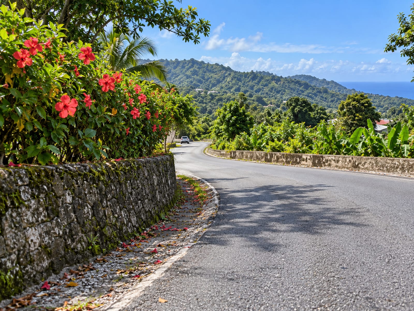 A rural paved road bending past a low stone wall and a flowering hibiscus hedge under a bright sky.