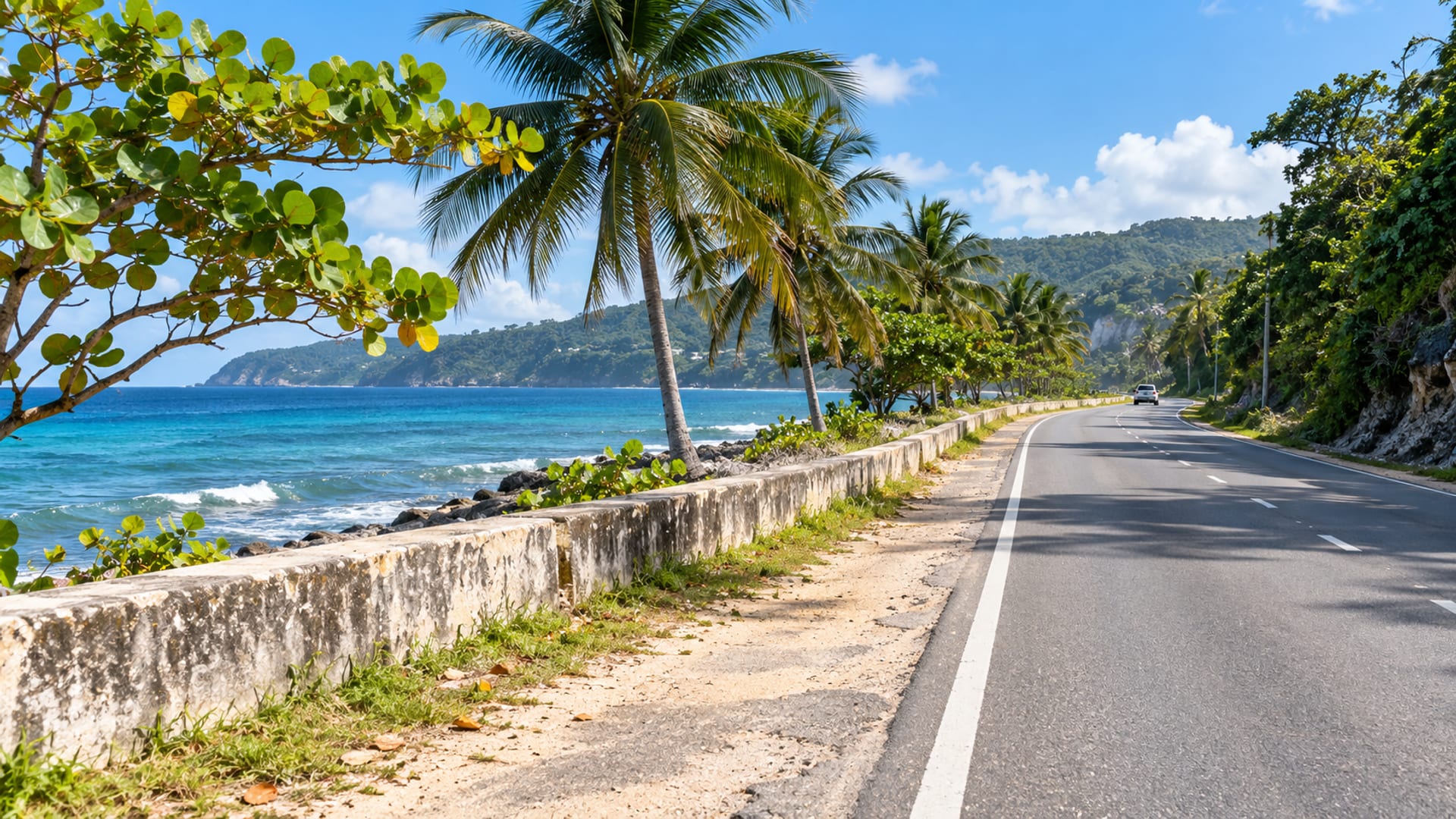 Quiet coastal road along the sea with palms and a low wall at midday, one tiny plain vehicle far ahead