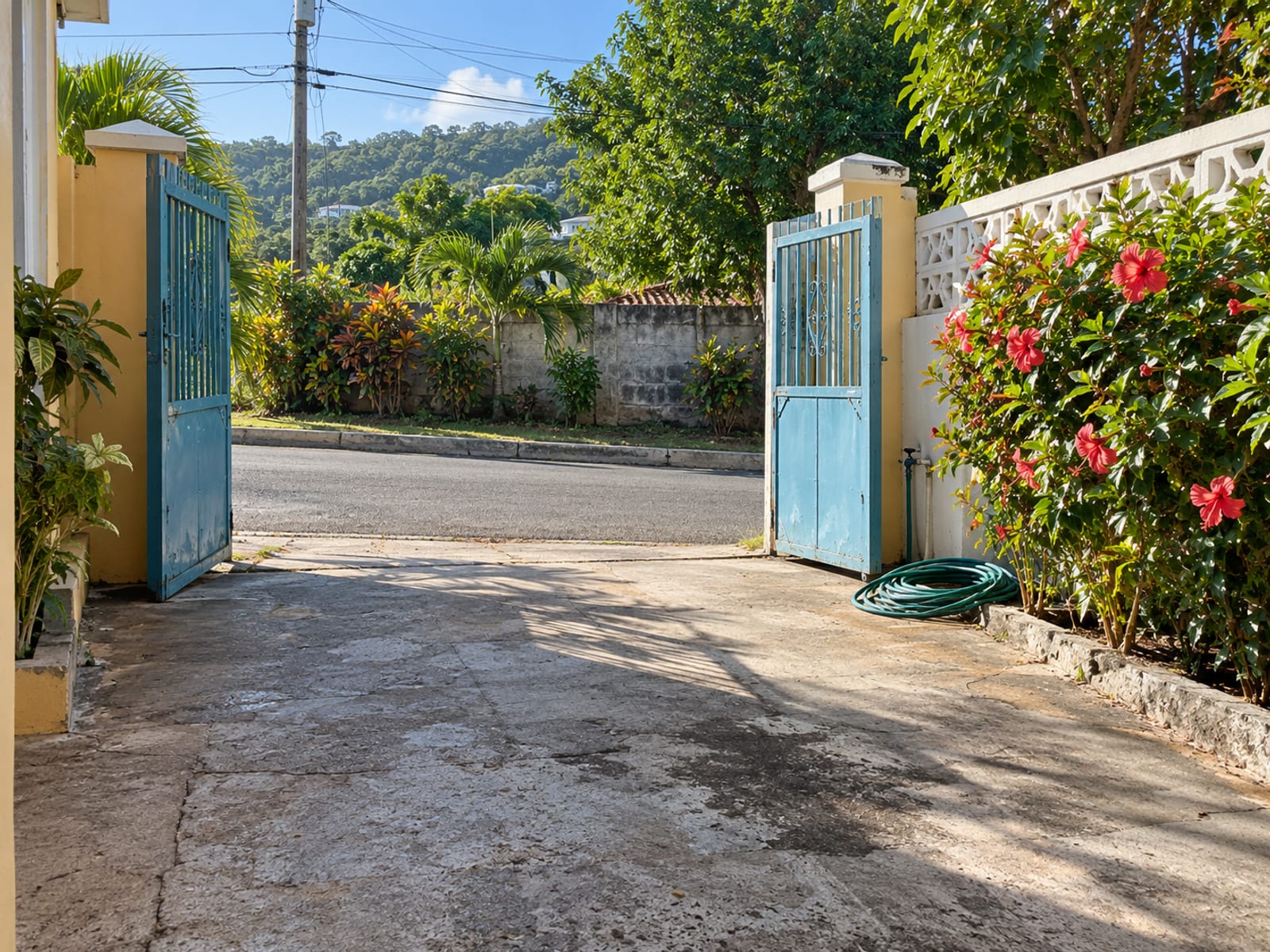 Open metal front gate onto a quiet lane with a driveway and garden hose in morning light
