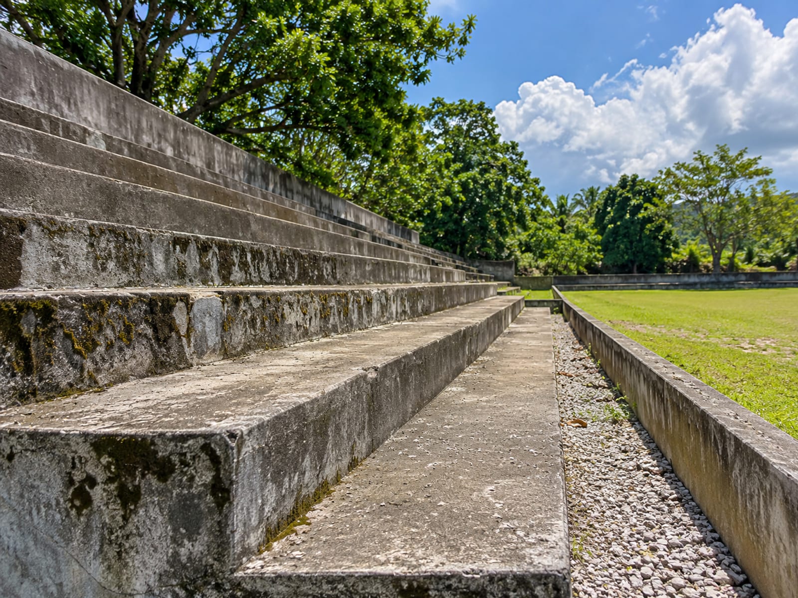 Wide empty concrete terraced steps beside a grass ground with a low wall and trees