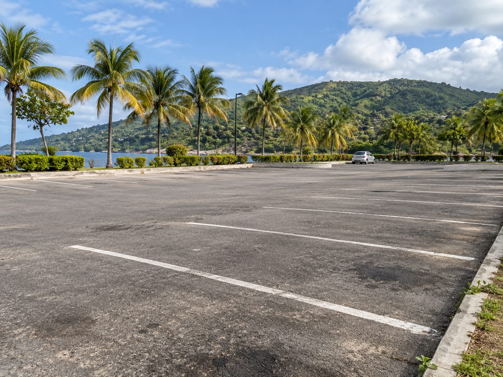 Wide view of empty painted car park bays with palm trees and a low green hill behind, one tiny plain car far away