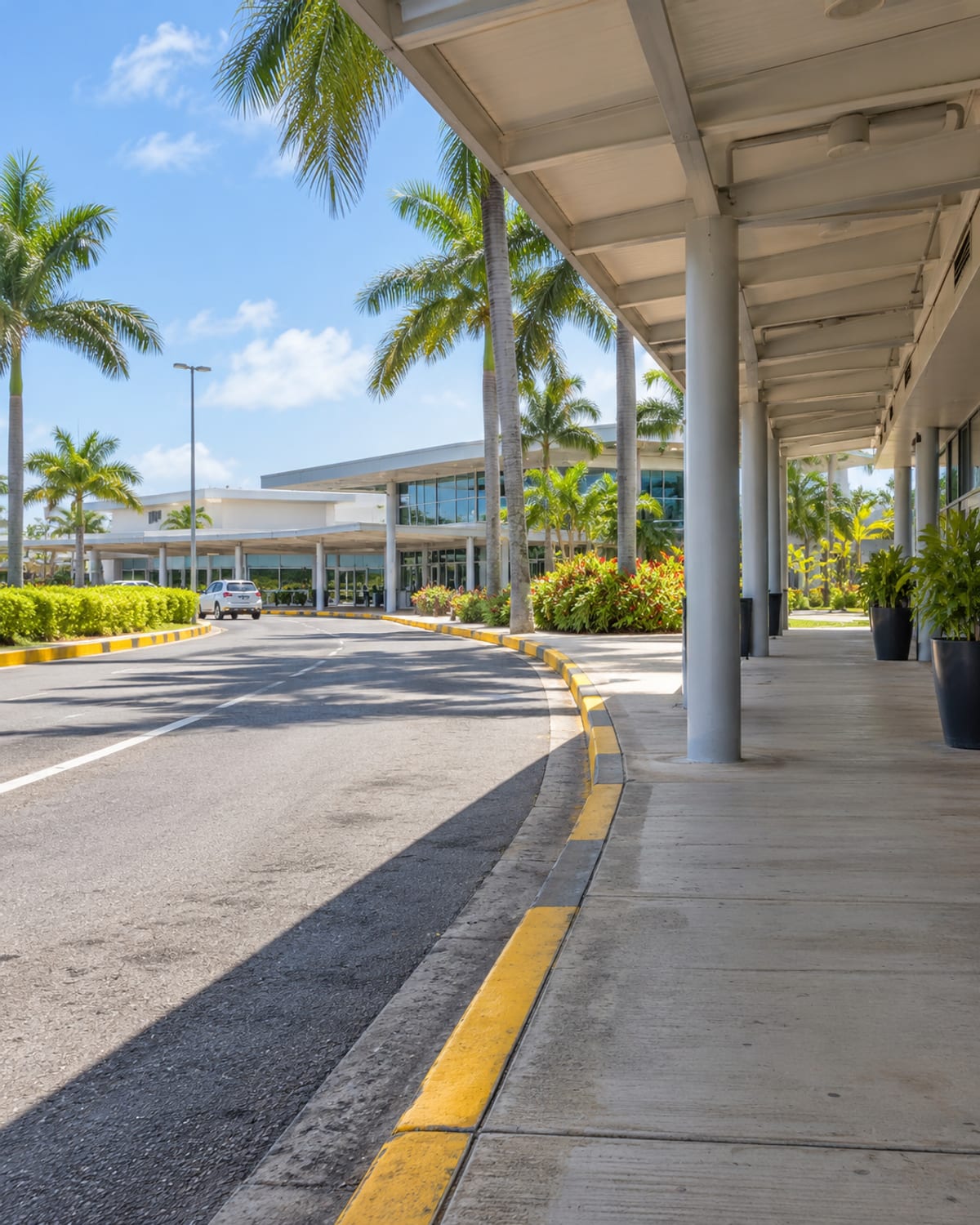 A palm-lined pickup lane outside a small airport building