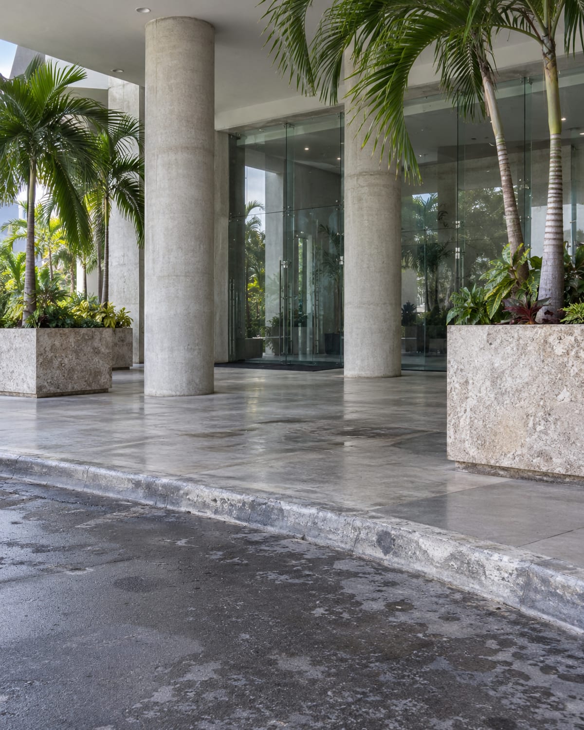 A shaded office forecourt with palms and a drop-off lay-by