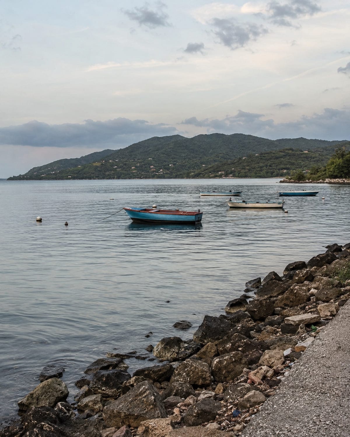 A calm bay with moored fishing boats and green hills across the water
